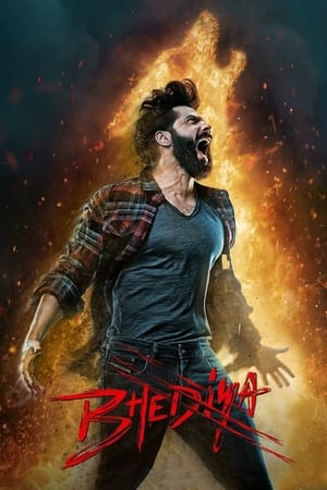 Bhediya 2022 Hindi Movie – HD Poster Download - Filmyzilla