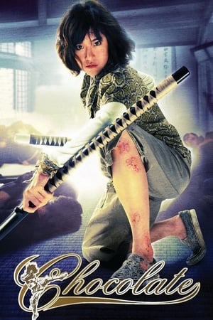 Chocolate (2008) Hindi Dual Audio 300MB HD Poster Download - Filmyzilla