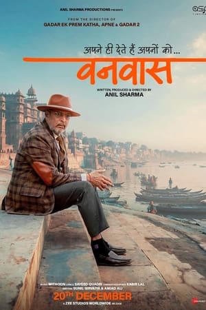 Vanvaas (2024) Hindi (DD5.1) HD Poster Download - Filmyzilla